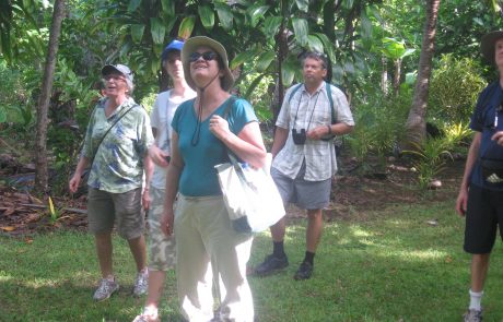 Bird Watching and Hiking Tour - Ene'io Botanical Garden Vava'u Tonga